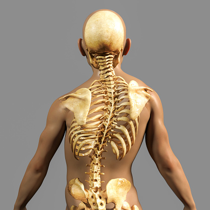 Scoliosis, Back Pain, Back