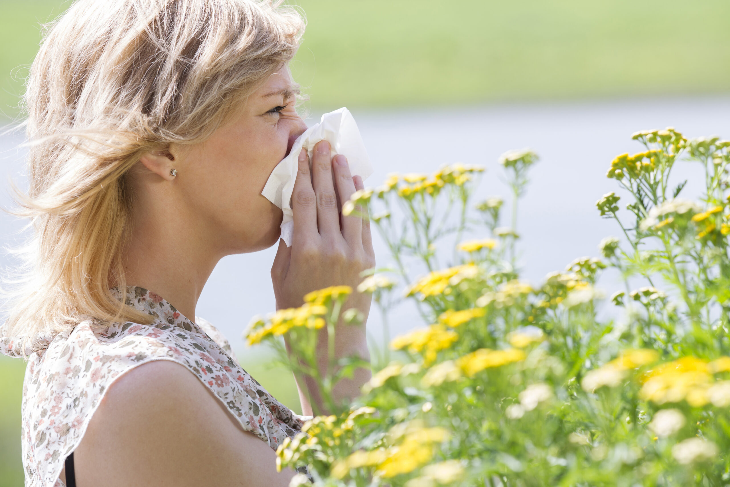 Chiropractic care and allergies